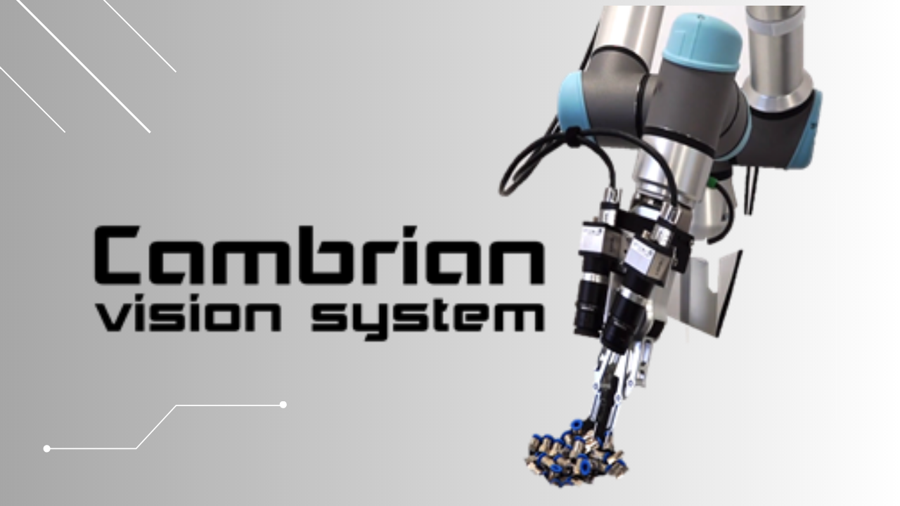  Cambrian Vision System
